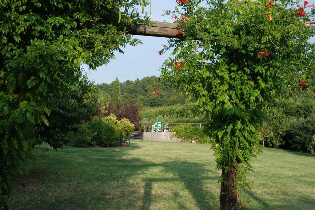Podere Le Buche Pelago Extérieur photo